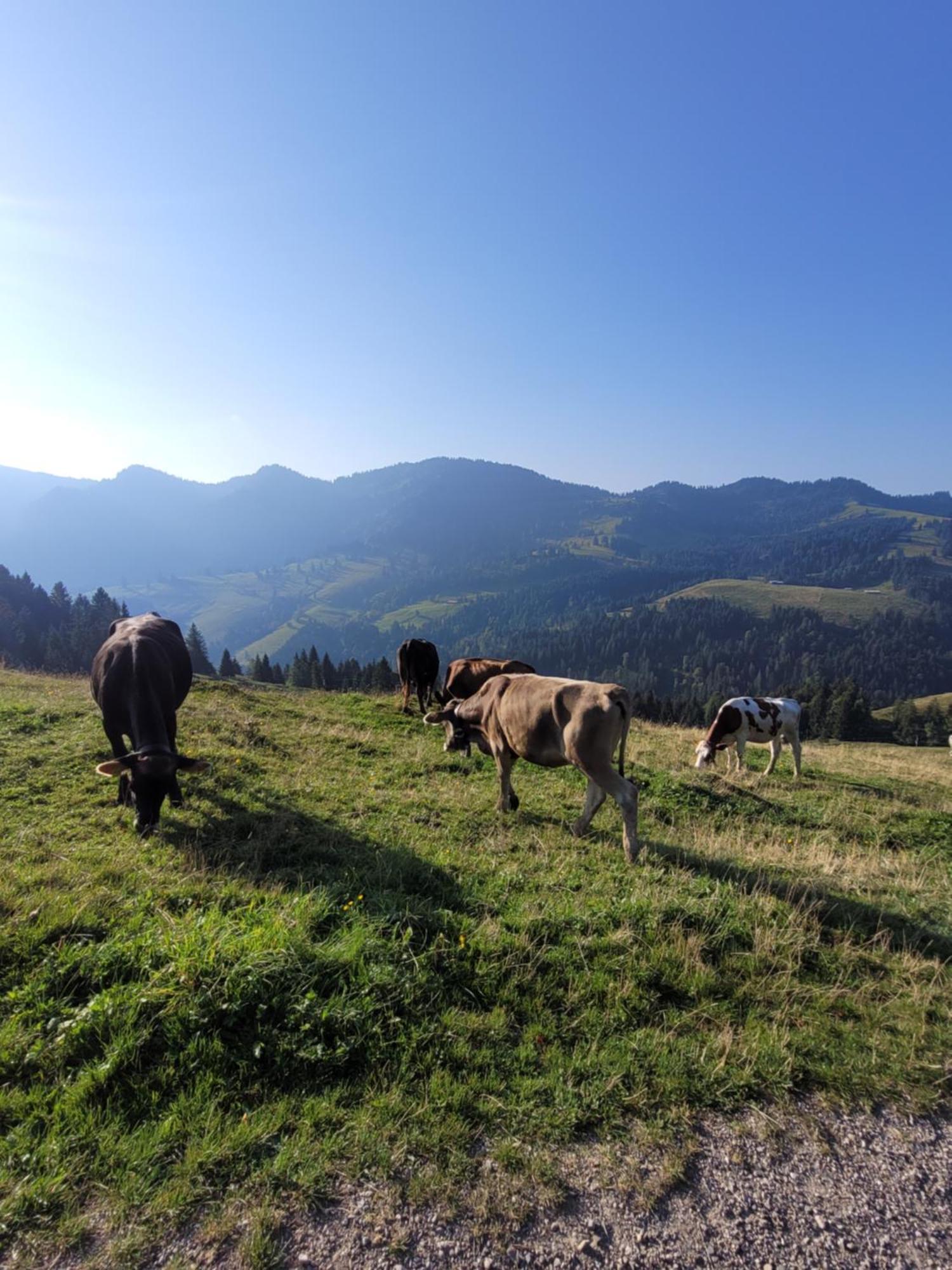 Ferienwohnung Allgaeublick Wangen im Allgäu Exterior foto