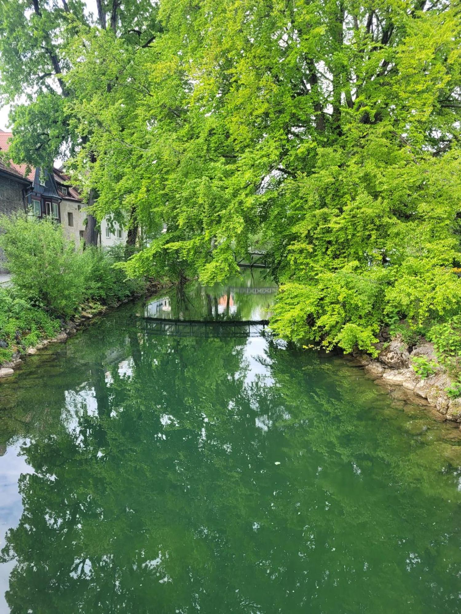 Ferienwohnung Allgaeublick Wangen im Allgäu Exterior foto